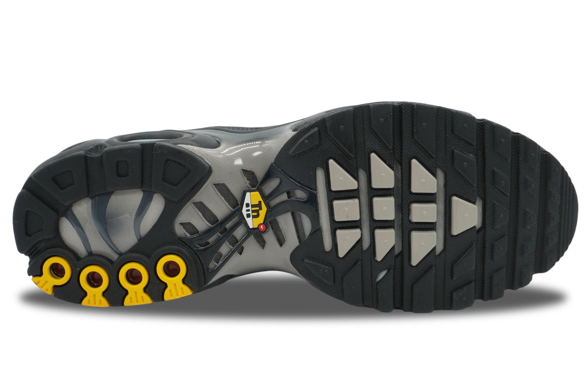 NIKE AIR MAX PLUS TN X CORDURA